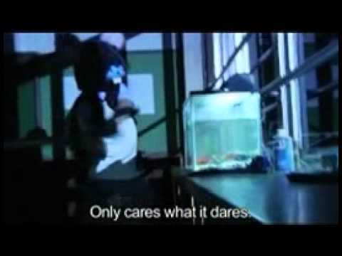 Black Rat Trailer