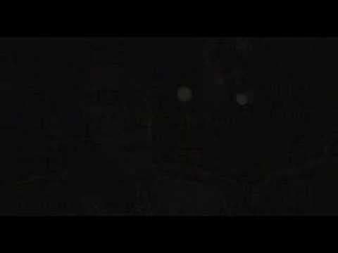 Reincarnation (Trailer)