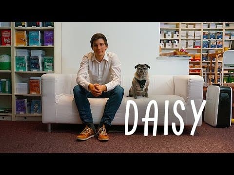 Daisy (Kurzfilm 2016)