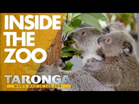 Welcome to Taronga Zoo | Taronga: Who's Who in the Zoo 2020