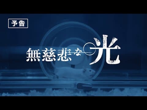 映画『無慈悲な光』予告編 / 超人気セクシー女優8名が贈る感動の超大作。