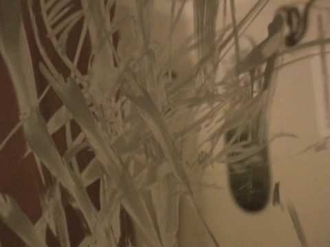 Walrus TV Artist Feature: Tiffany Bozic "Dithers" Series