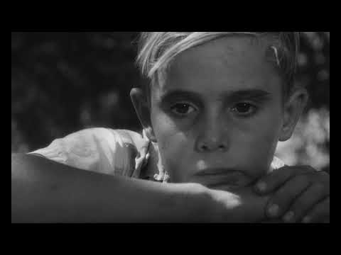 The Olive Trees of Justice – Re-Release Trailer