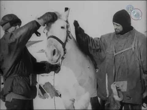 Captain Scott and Dr. Wilson with the Pony 'Nobby' (1912) | BFI National Archive