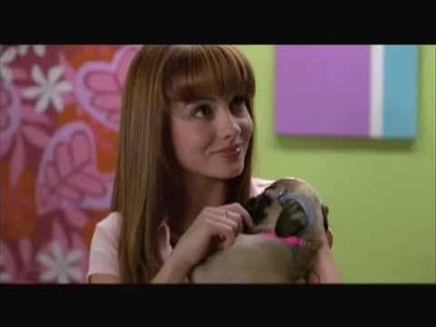''Pride and Prejudice: A Latter-Day Comedy'' (2003) — Trailer