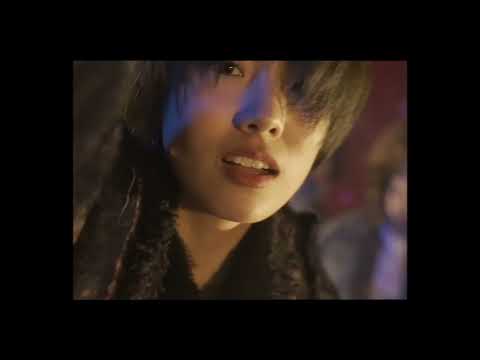 《去往赫布里底群岛的最后一只狐狸》The Last Revelry  |  新加坡华语电影节 Singapore Chinese Film Festival 2023