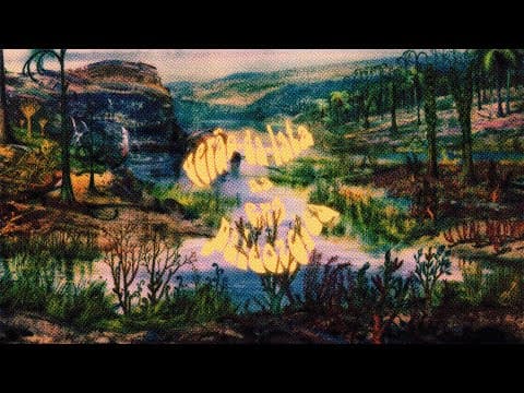 VERÃO-DA-LATA NA ERA PALEOZOICA (2017)