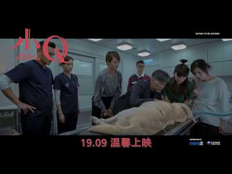 小Q | Little Q | In Cinemas 19 Sept