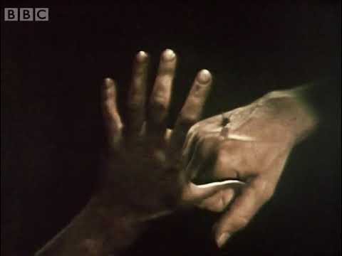 Late Night Horror 1968 original