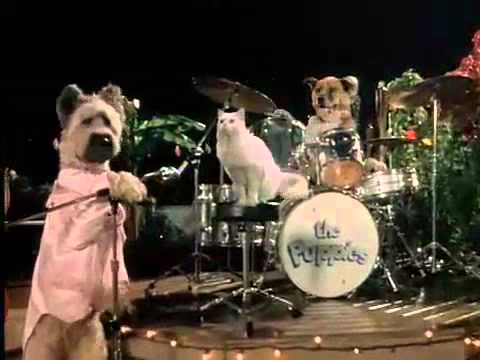 Karate Dog Trailer