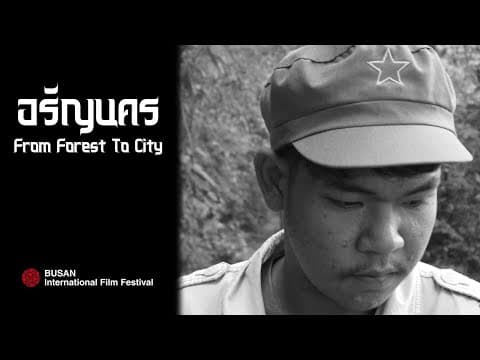 From Forest To City