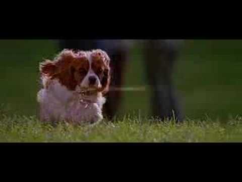UNDERDOG - Trailer