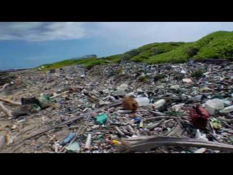 Tapped Trailer
