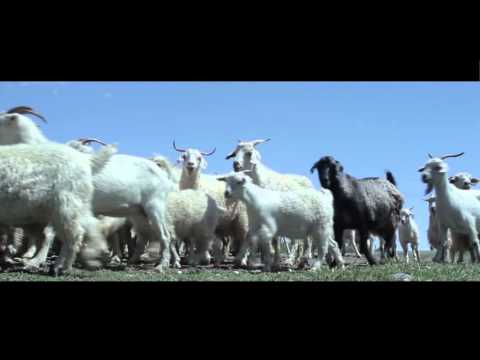 Territorios Extraordinarios