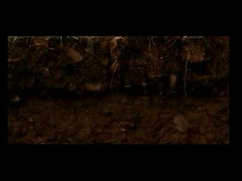 Odgrobadogroba - di tomba in tomba