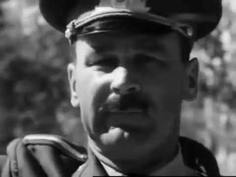 რულონი - [1975] 🇬🇪 🎥🎬