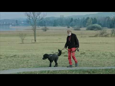 Trailer RÖBI GEHT DE de