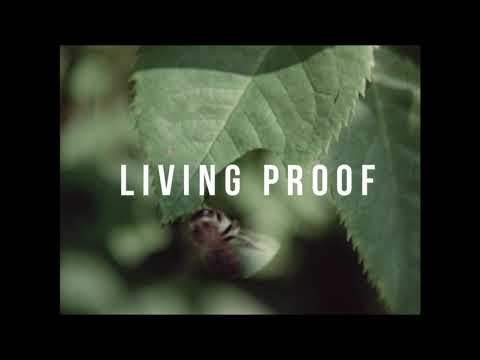 Living Proof - coming soon