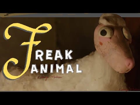 "Paulino El Borrego" | Stop Motion Animation