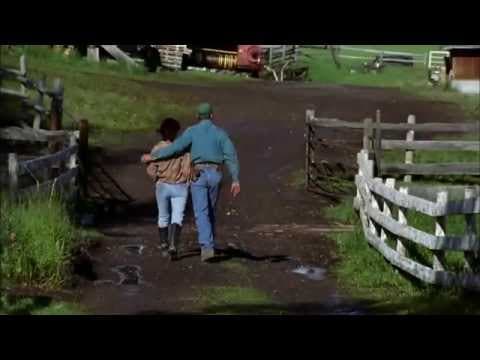 Twelve Mile Road
