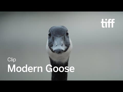 MODERN GOOSE Clip | TIFF 2023