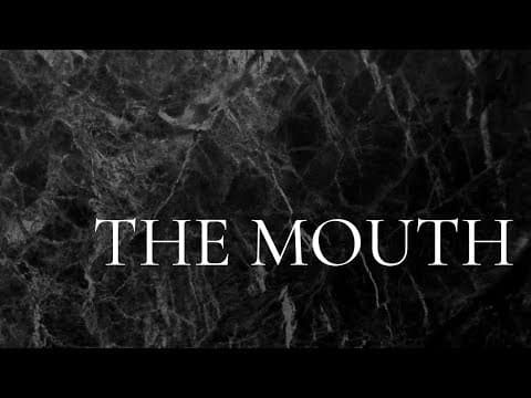 the mouth / / experimental short film / / falling company