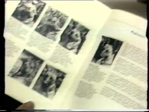 Going to the Dogs - Dutch Introduction(Journaal)