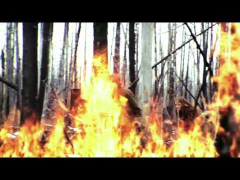 The Wylds Trailer