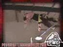 PWG Zombies (Shouldn't Run)