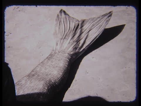 MER - A Short Shot on 16mm Film