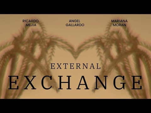 External Exchange.