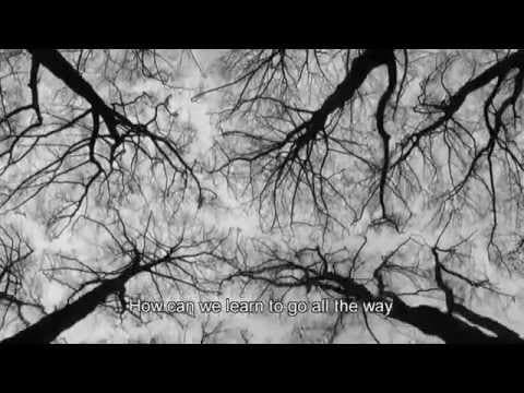 Trailer | Twilight of a Life | Sylvain Biegeleisen