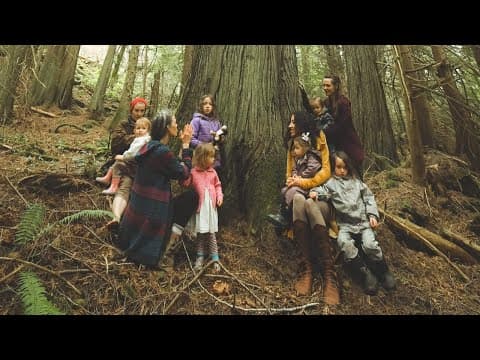 ARISE for the Ancient Forests | Save Fairy Creek