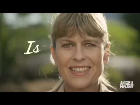 'Crikey! It's the Irwins' (2018) Trailer