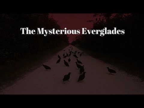 FEATURE DOCUMENTARY : The Mysterious Everglades : Abandoned Places, Lonely Backroads & The Skunk Ape