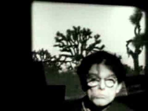 captain beefheart - Don Van Vliet  - Anton Corbijn- some yo yo  stuff.flv