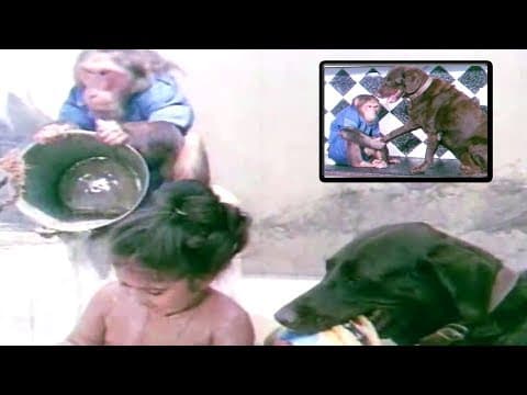 Baby Shamili Best Scene || Bhairavi ಭೈರವಿ Movie || Kannadiga Gold Films