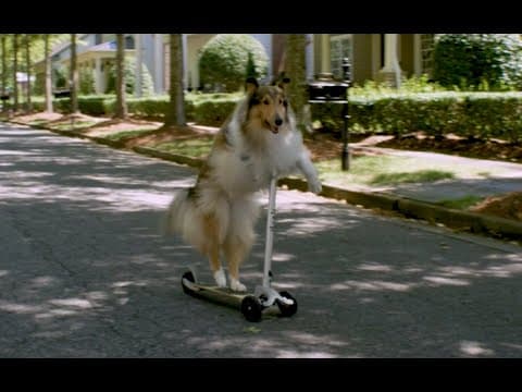 Five Date Rule - Trailer