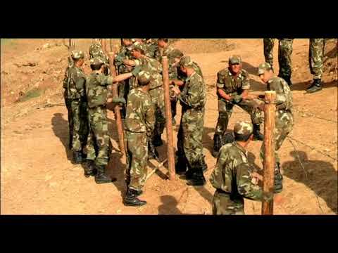 True Noon - trailer - IFFR 2010