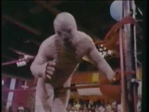 Titanes en el Ring (1973)