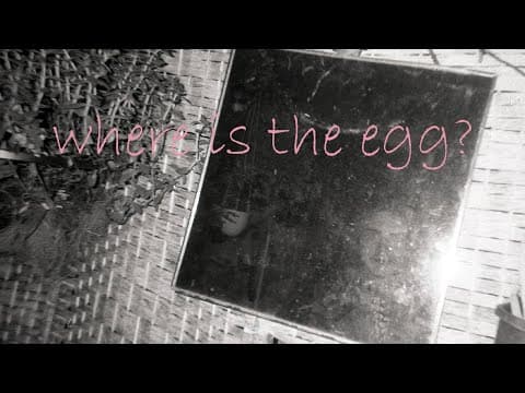 where is the egg?