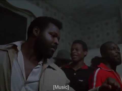 Wolcott (1981) Drug Raid