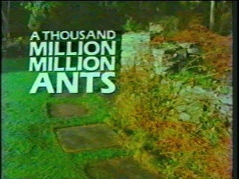 A Thousand Million Million Ants (1985) [Documentary]