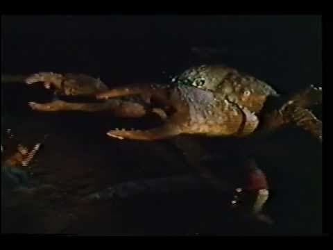 Island Claws 1980 Hernan Cardenas