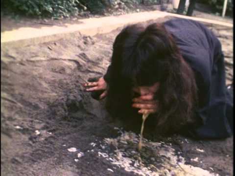 Gerorisuto (1987)