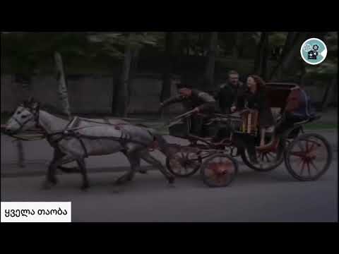 #ყველათაობა მზე შემოდგომისა - "გამარჯობა ჩემო თბილის ქალაქო" 1973.წელი (51)