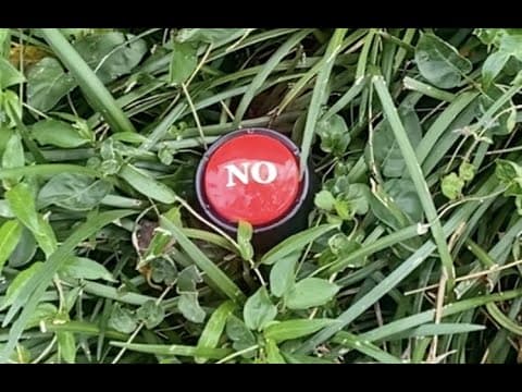 The Button
