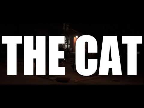 THE CAT - horror short film