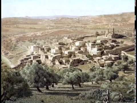 The Land Speaks Arabic