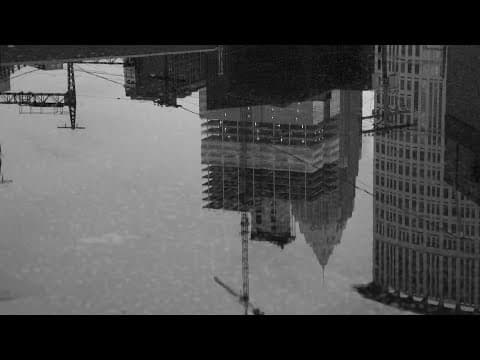 Steel City Bloom